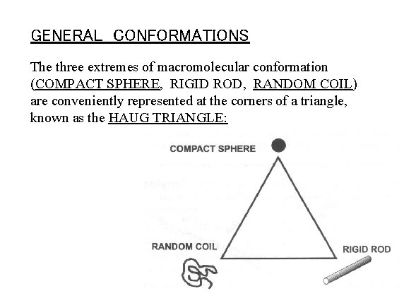 GENERAL CONFORMATIONS The three extremes of macromolecular conformation (COMPACT SPHERE, RIGID ROD, RANDOM COIL)