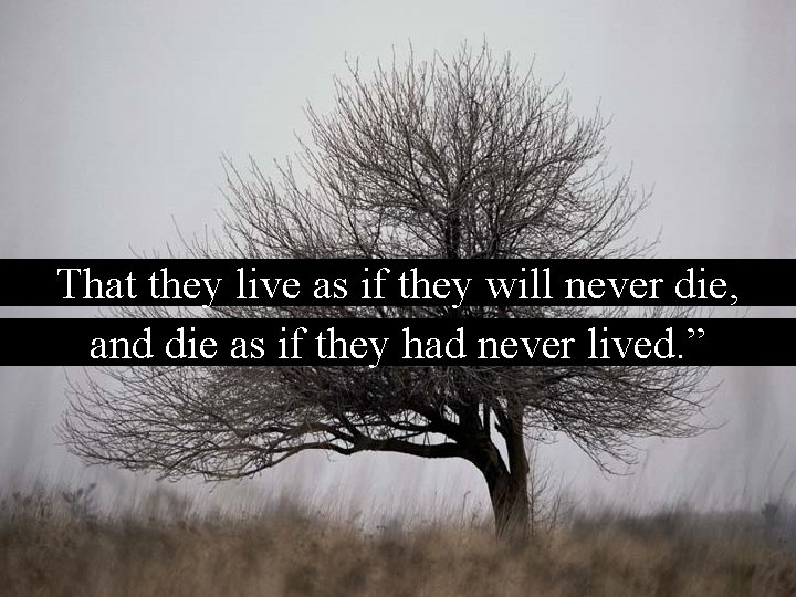 That they live as if they will never die, and die as if they