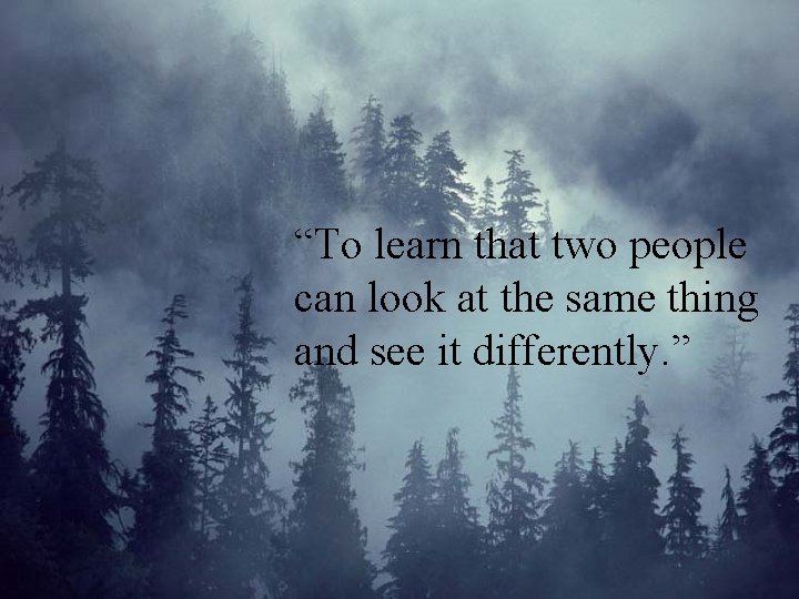 “To learn that two people can look at the same thing and see it