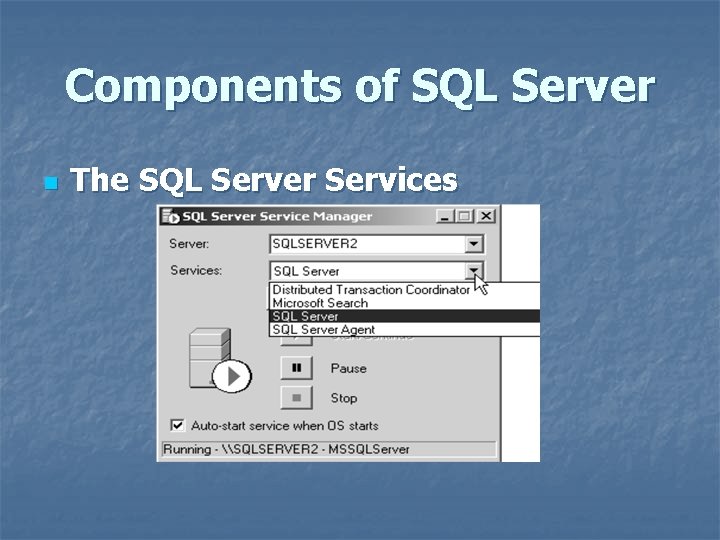 Components of SQL Server n The SQL Server Services 