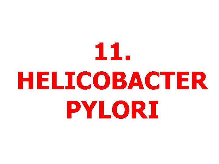 11. HELICOBACTER PYLORI 