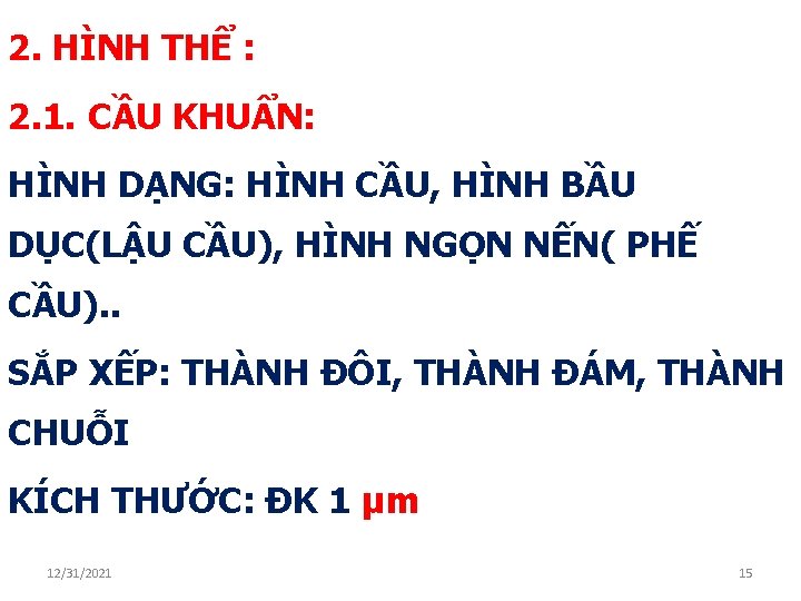 2. HÌNH THỂ : 2. 1. CẦU KHUẨN: HÌNH DẠNG: HÌNH CẦU, HÌNH BẦU