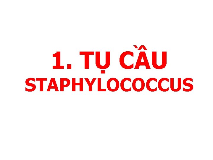 1. TỤ CẦU STAPHYLOCOCCUS 