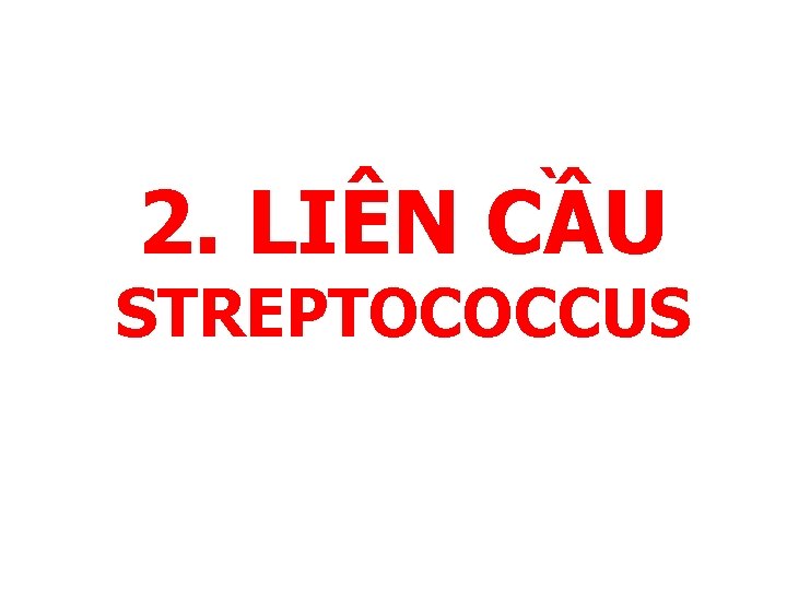 2. LIÊN CẦU STREPTOCOCCUS 