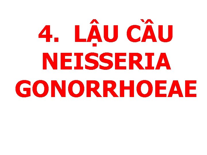 4. LẬU CẦU NEISSERIA GONORRHOEAE 