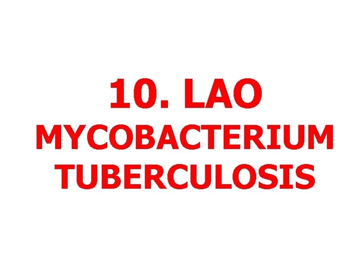 10. LAO MYCOBACTERIUM TUBERCULOSIS 