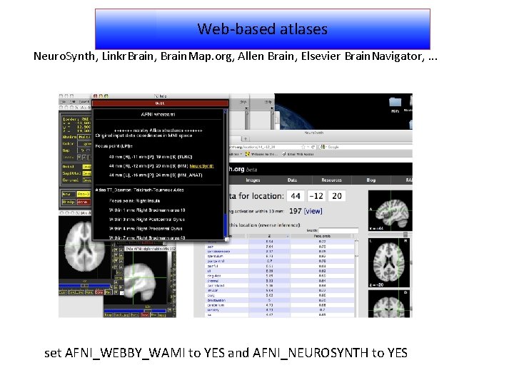 Web-based atlases Neuro. Synth, Linkr. Brain, Brain. Map. org, Allen Brain, Elsevier Brain. Navigator,