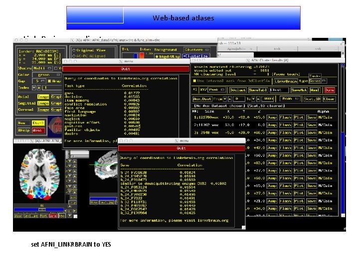 Web-based atlases Linkr. Brain - coordinates set AFNI_LINKRBRAIN to YES 