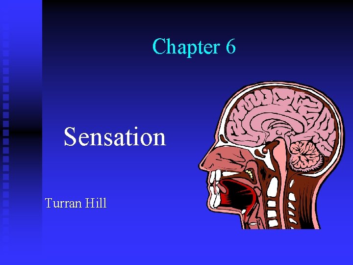 Chapter 6 Sensation Turran Hill 