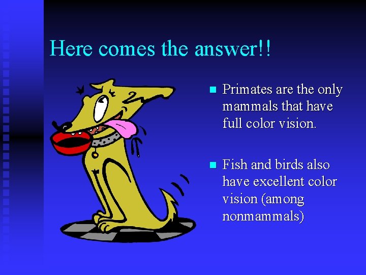 Here comes the answer!! n Primates are the only mammals that have full color