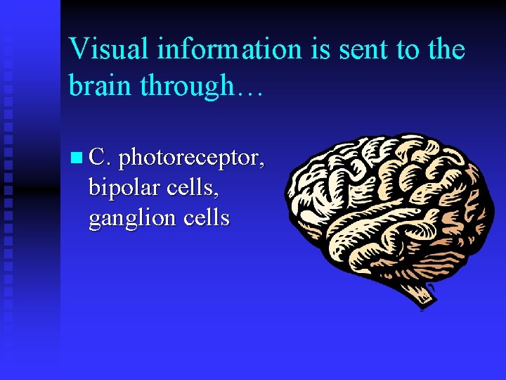 Visual information is sent to the brain through… n C. photoreceptor, bipolar cells, ganglion