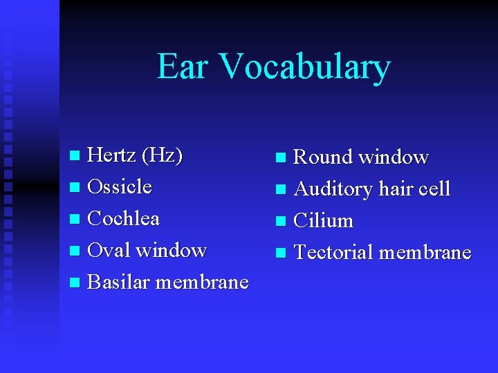 Ear Vocabulary Hertz (Hz) n Ossicle n Cochlea n Oval window n Basilar membrane