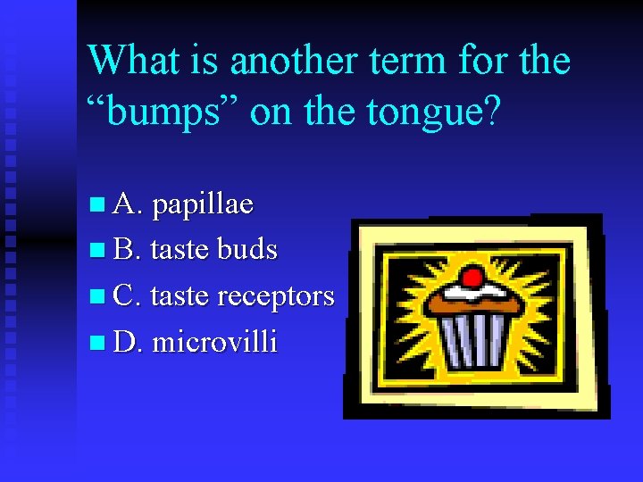 What is another term for the “bumps” on the tongue? n A. papillae n