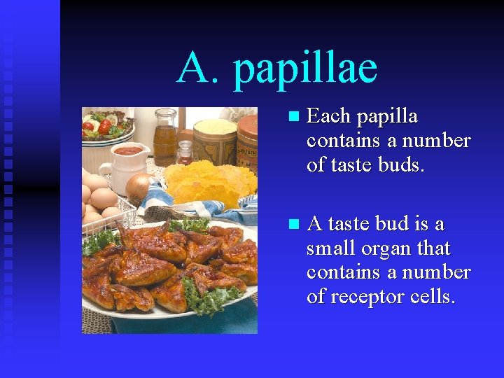A. papillae n Each papilla contains a number of taste buds. n A taste