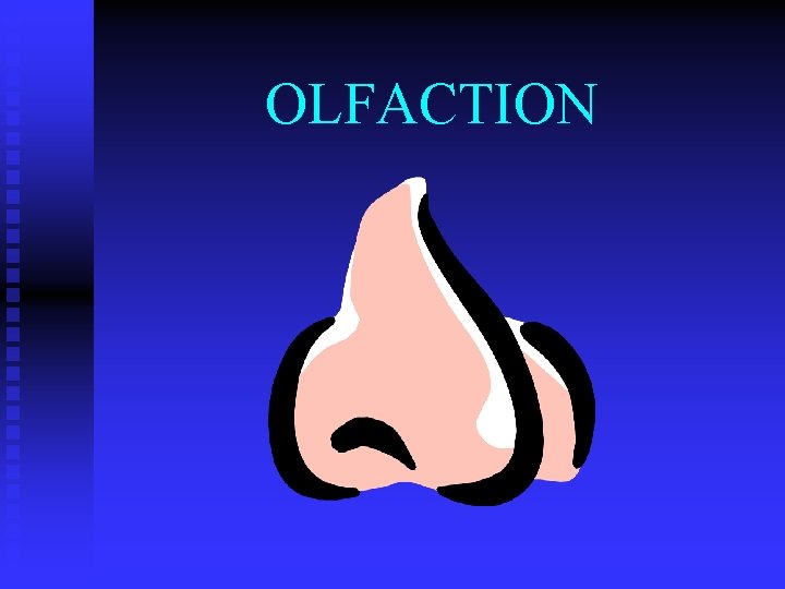 OLFACTION 