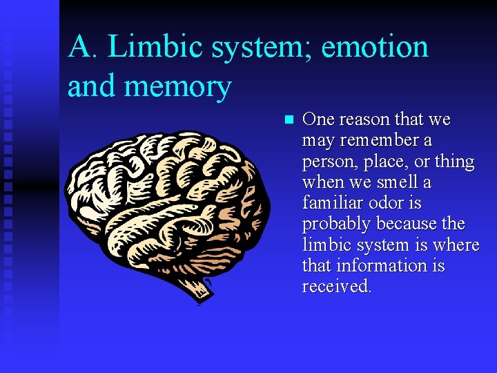 A. Limbic system; emotion and memory n One reason that we may remember a