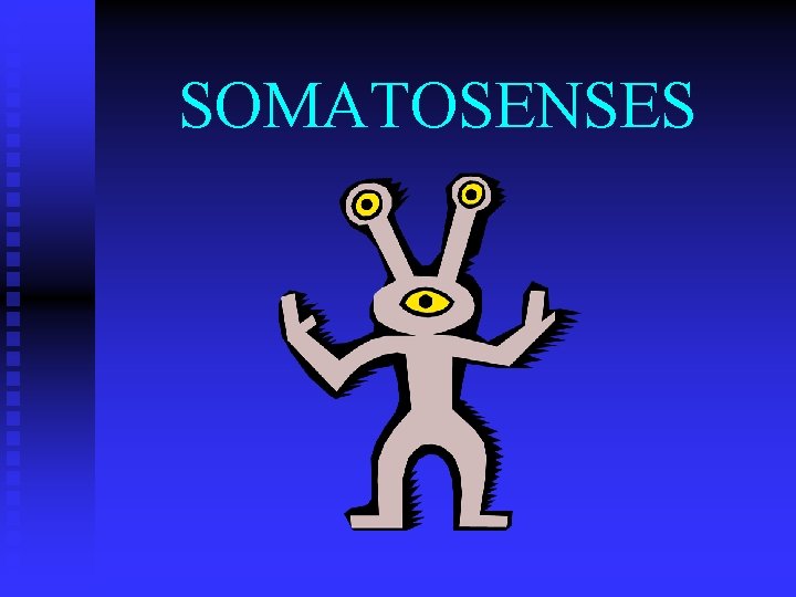 SOMATOSENSES 