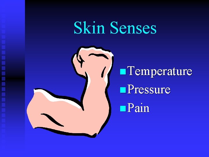 Skin Senses n Temperature n Pressure n Pain 