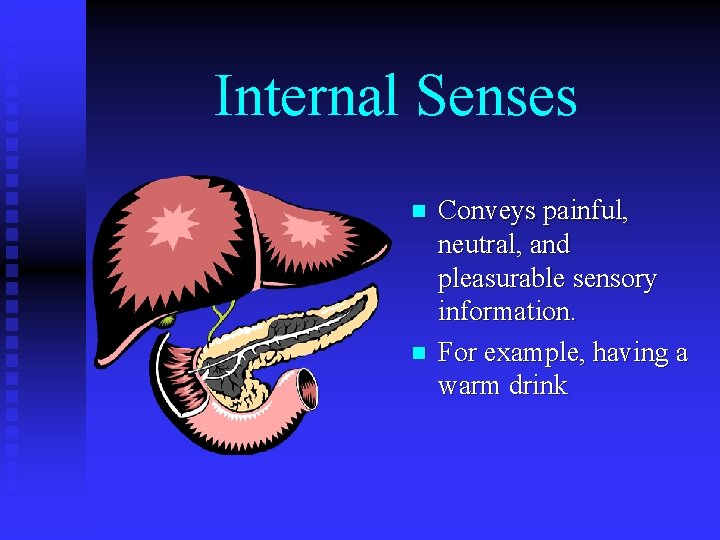 Internal Senses n n Conveys painful, neutral, and pleasurable sensory information. For example, having