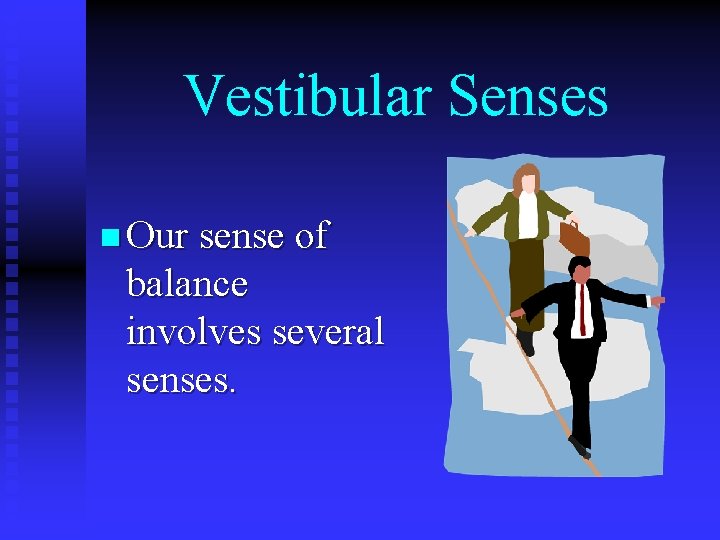 Vestibular Senses n Our sense of balance involves several senses. 