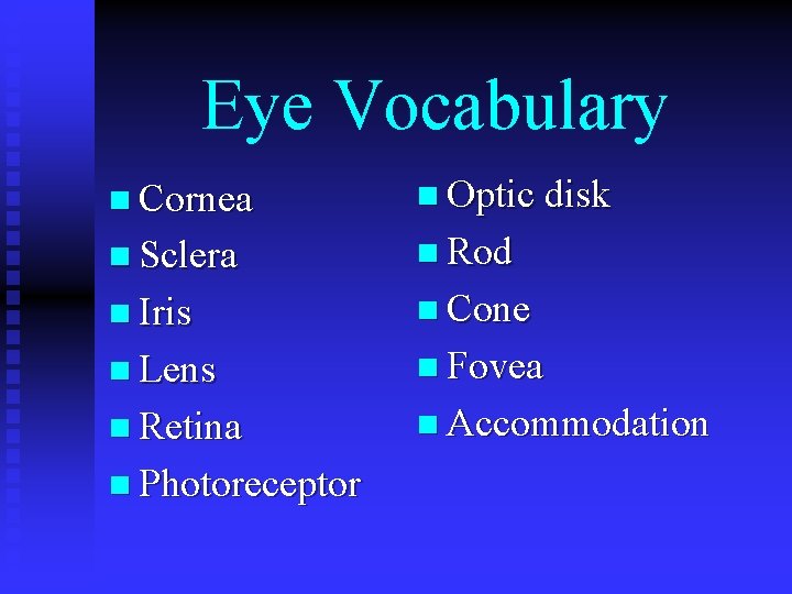 Eye Vocabulary n Cornea n Optic disk n Sclera n Rod n Iris n