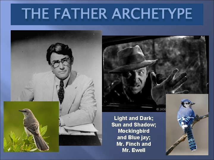 THE FATHER ARCHETYPE Light and Dark; Sun and Shadow; Mockingbird and Blue jay; Mr.