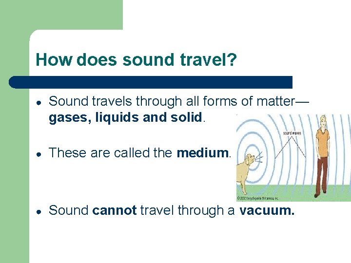 How does sound travel? ● Sound travels through all forms of matter— gases, liquids