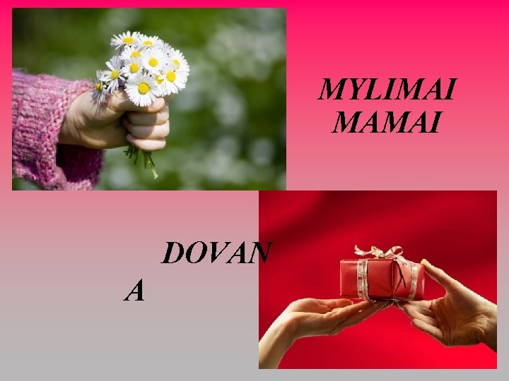 MYLIMAI MAMAI DOVAN A 