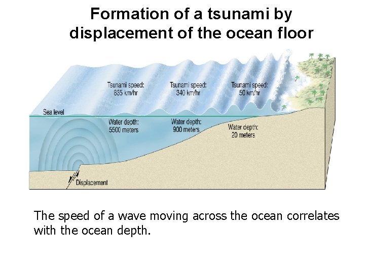 Formation of a tsunami by displacement of the ocean floor The speed of a