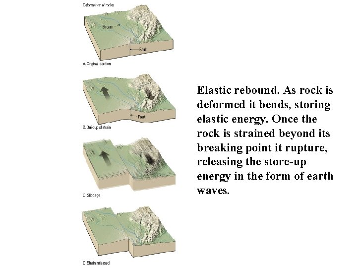 Elastic rebound. As rock is deformed it bends, storing elastic energy. Once the rock