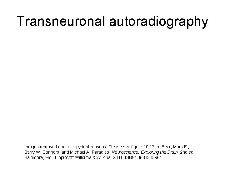 Transneuronal autoradiography Images removed due to copyright reasons. Please see figure 10. 17 in: