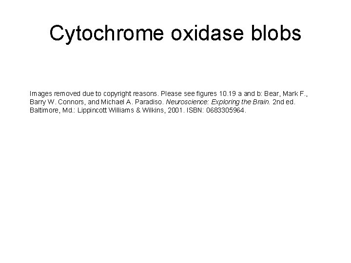 Cytochrome oxidase blobs Images removed due to copyright reasons. Please see figures 10. 19