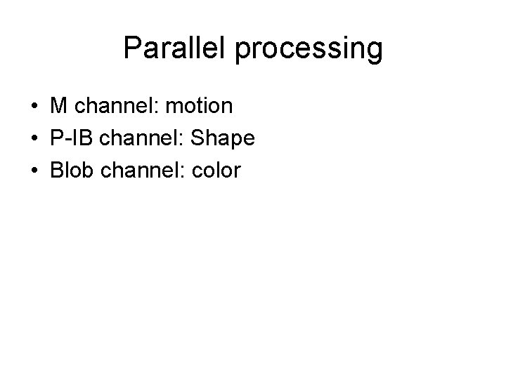Parallel processing • M channel: motion • P-IB channel: Shape • Blob channel: color