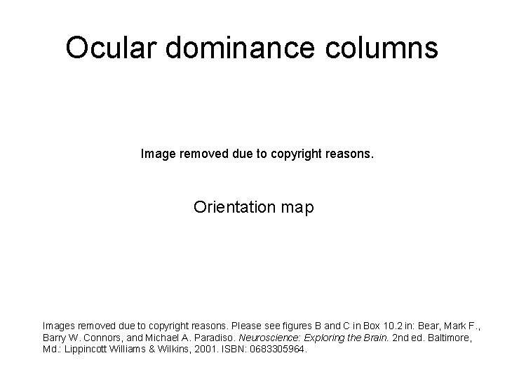 Ocular dominance columns Image removed due to copyright reasons. Orientation map Images removed due