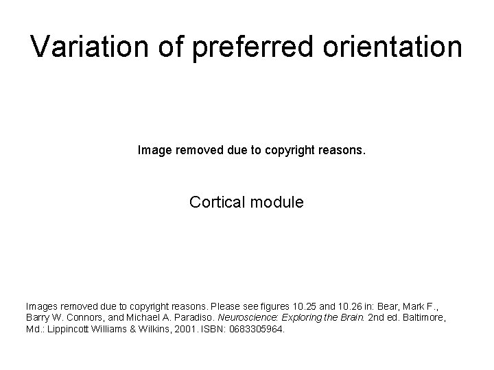 Variation of preferred orientation Image removed due to copyright reasons. Cortical module Images removed