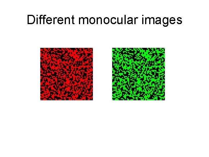 Different monocular images 