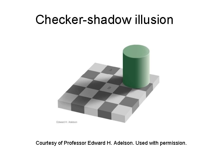 Checker-shadow illusion Courtesy of Professor Edward H. Adelson. Used with permission. 