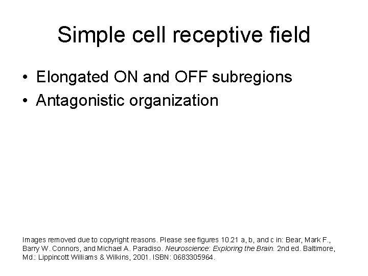Simple cell receptive field • Elongated ON and OFF subregions • Antagonistic organization Images