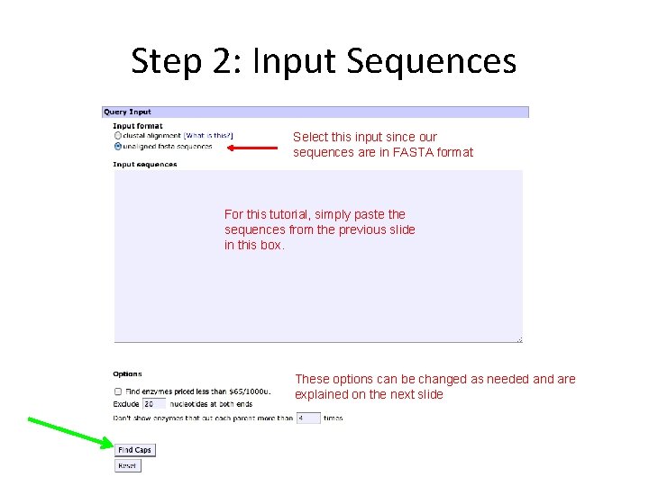 Step 2: Input Sequences Select this input since our sequences are in FASTA format