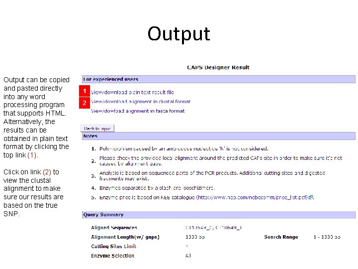 Output can be copied and pasted directly into any word processing program that supports