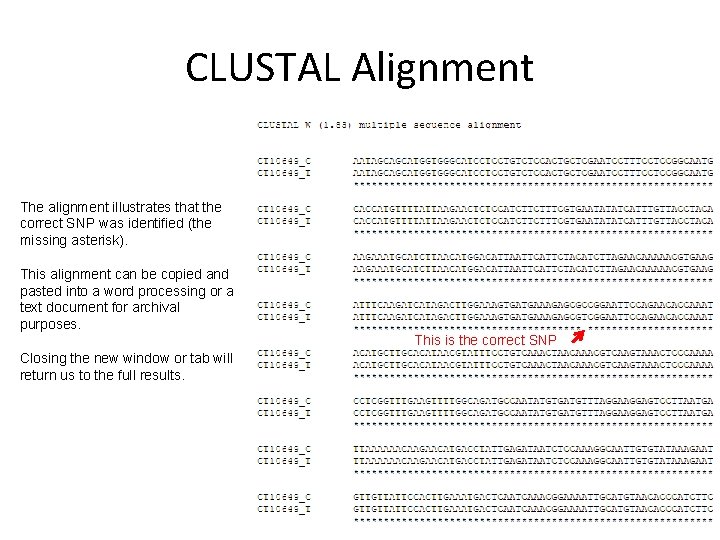 CLUSTAL Alignment The alignment illustrates that the correct SNP was identified (the missing asterisk).