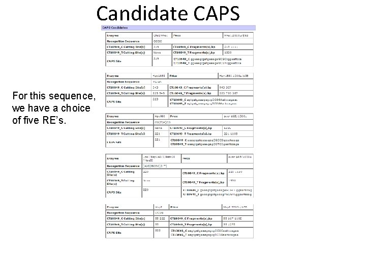 Candidate CAPS For this sequence, we have a choice of five RE’s. 