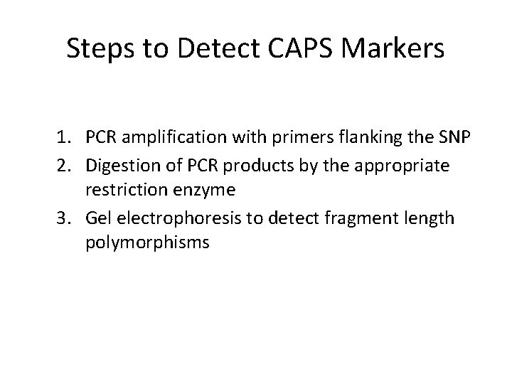 Steps to Detect CAPS Markers 1. PCR amplification with primers flanking the SNP 2.