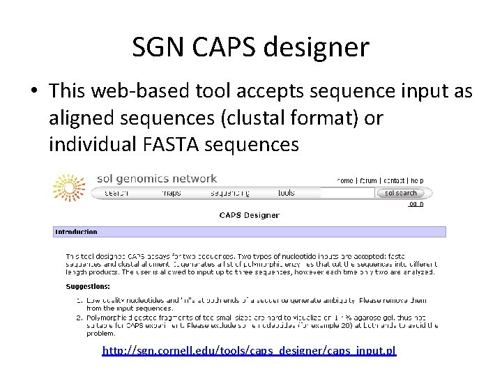 SGN CAPS designer • This web-based tool accepts sequence input as aligned sequences (clustal