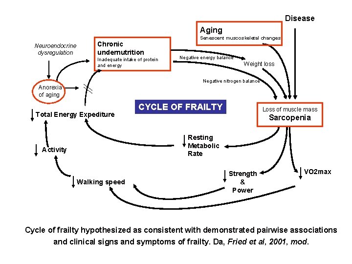 Disease Aging Neuroendocrine dysregulation Chronic undernutrition Inadequate intake of protein and energy Senescent muscoskeletal