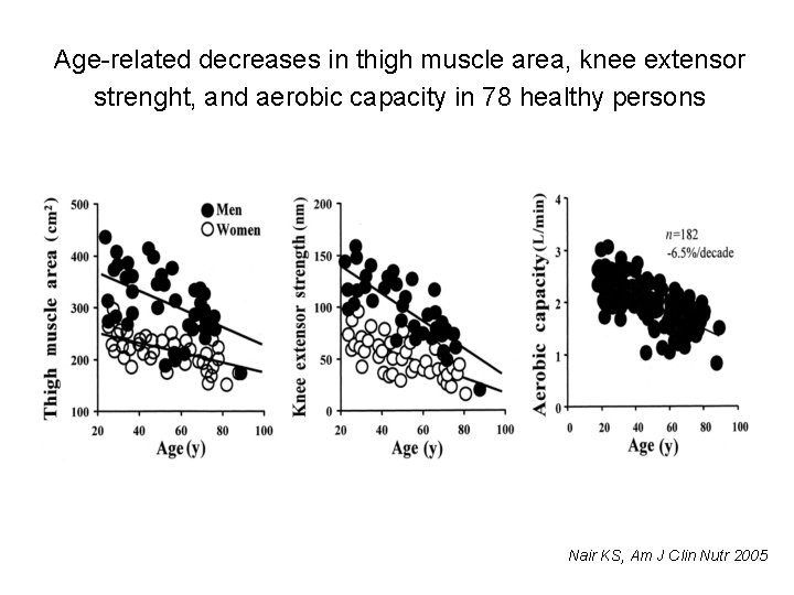 Age-related decreases in thigh muscle area, knee extensor strenght, and aerobic capacity in 78