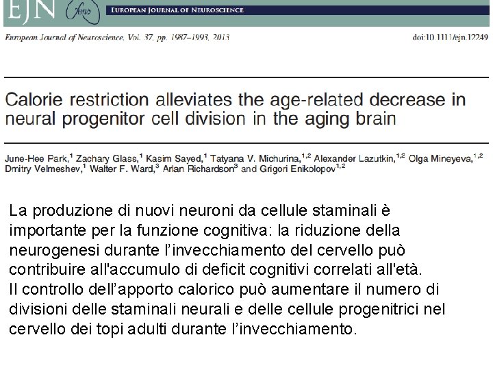 La produzione di nuovi neuroni da cellule staminali è importante per la funzione cognitiva: