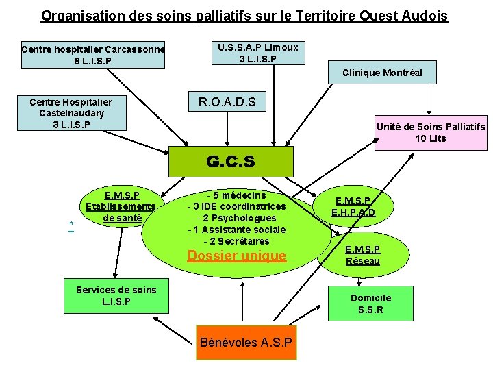 Organisation des soins palliatifs sur le Territoire Ouest Audois Centre hospitalier Carcassonne 6 L.