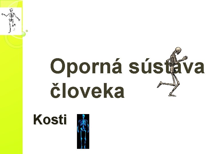 Oporná sústava človeka Kosti Oporná sústava človeka Kosti