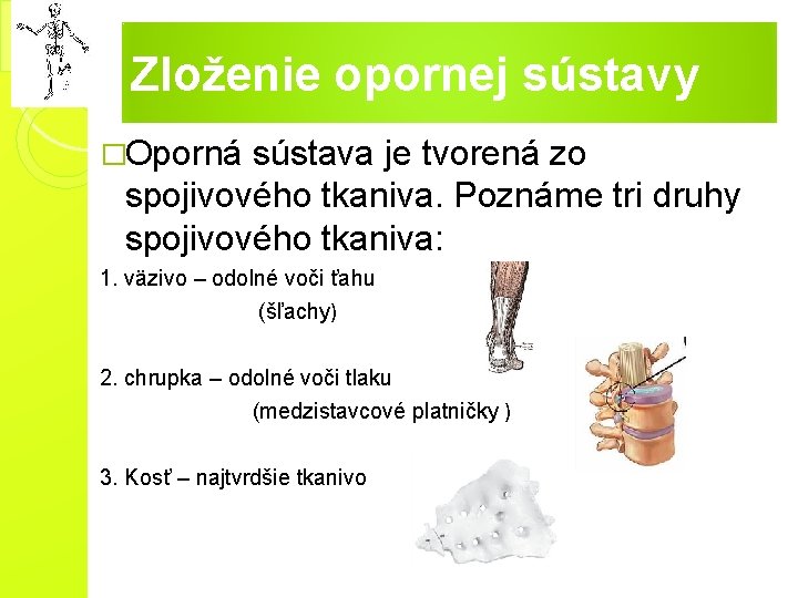 Zloženie opornej sústavy �Oporná sústava je tvorená zo spojivového tkaniva. Poznáme tri druhy spojivového